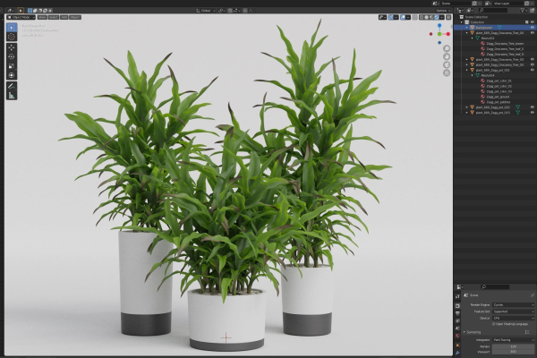 Plants collection 889