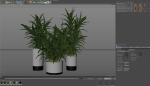 Plants collection 889