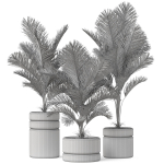 Plants collection 894