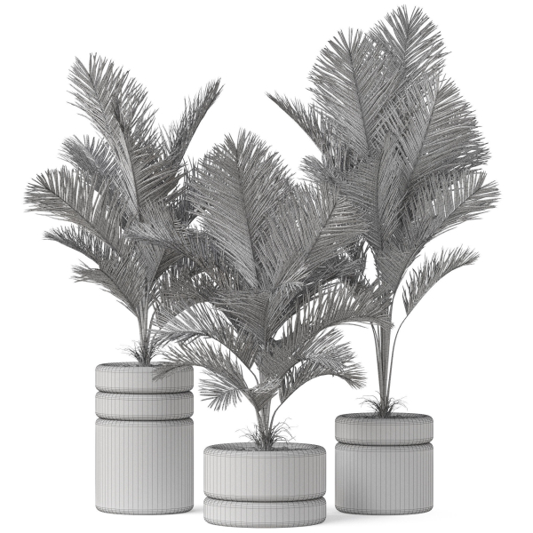 Plants collection 894