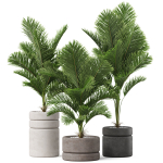 Plants collection 894