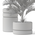 Plants collection 894