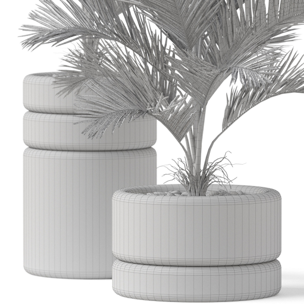 Plants collection 894