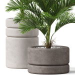 Plants collection 894