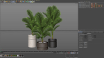Plants collection 894