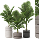 Plants collection 894