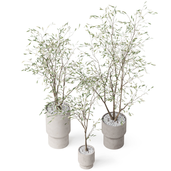 Plants collection 900