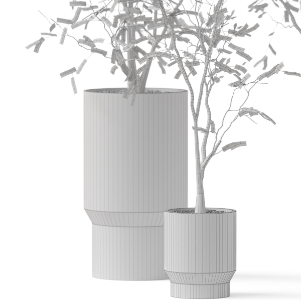 Plants collection 900