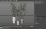 Plants collection 900