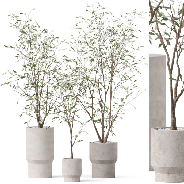 Plants collection 900