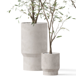 Plants collection 900