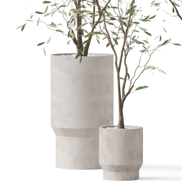 Plants collection 900