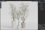 Plants collection 900