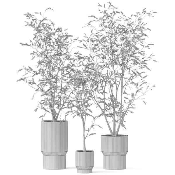 Plants collection 900