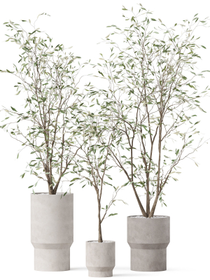 plants-collection-900-3d-model-d11f57a3e7
