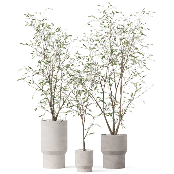 Plants collection 900