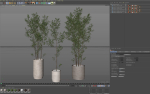 Plants collection 901