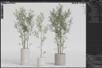 Plants collection 901