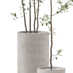 Plants collection 901
