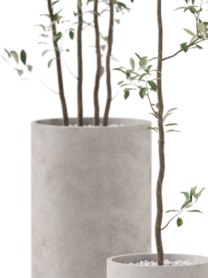 plants-collection-901-3d-model-ec0fb9a94b