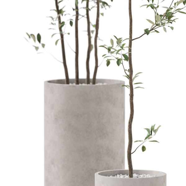 Plants collection 901