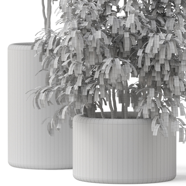 Plants collection 903