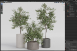 Plants collection 903