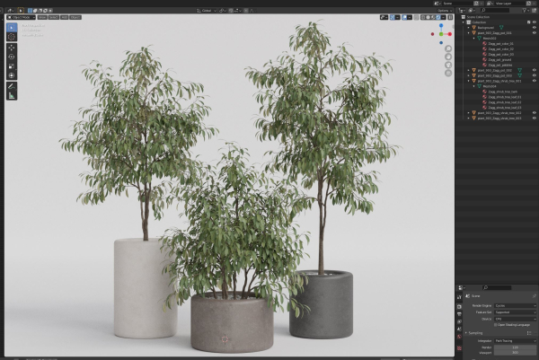 Plants collection 903