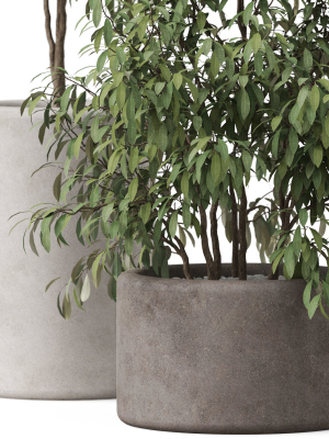 plants-collection-903-3d-model-88b2a3eea3