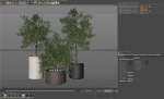 Plants collection 903