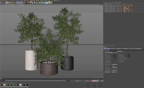 Plants collection 903