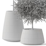 Plants collection 904