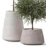 Plants collection 904