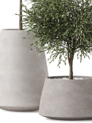 plants-collection-904-3d-model-944f16218b