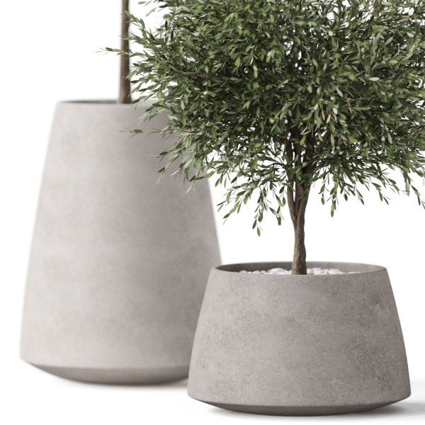 Plants collection 904
