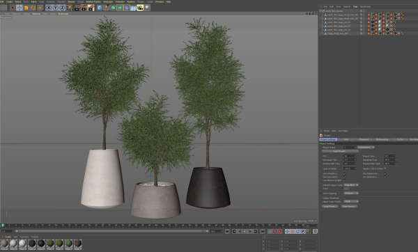Plants collection 904