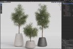 Plants collection 904