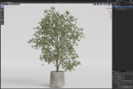 Plants collection 908