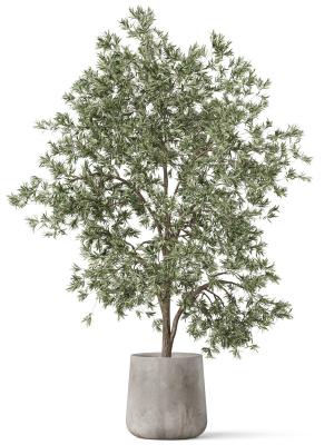 plants-collection-908-3d-model-8666b773be