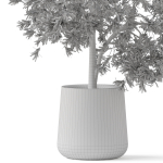 Plants collection 908