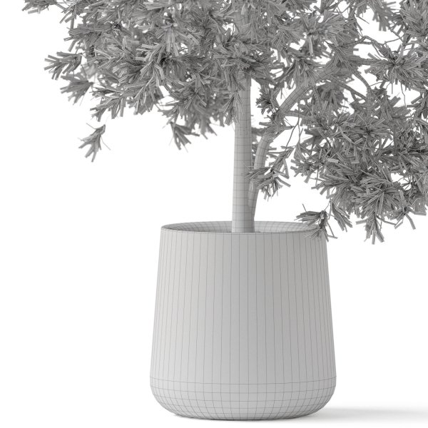 Plants collection 908
