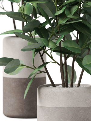 plants-collection-910-3d-model-19ca93291c
