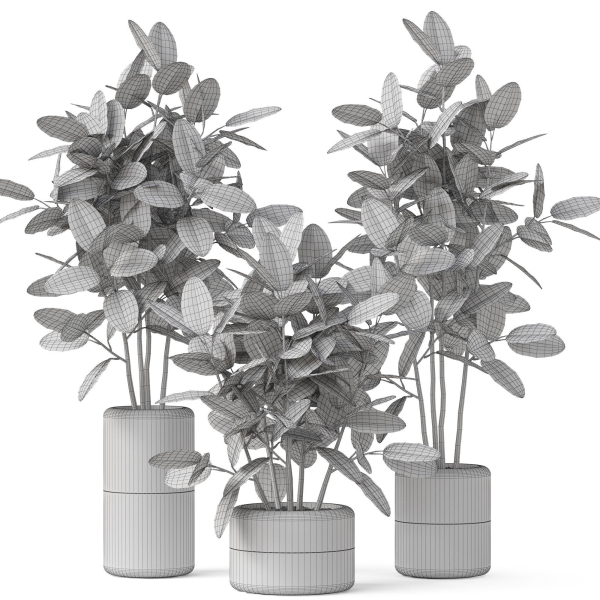 Plants collection 910
