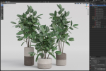 Plants collection 910