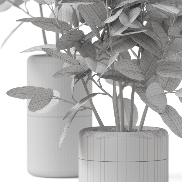 Plants collection 910