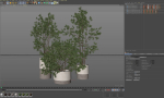 Plants collection 912