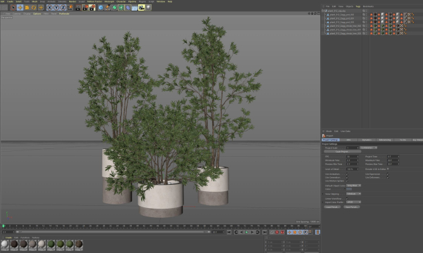 Plants collection 912