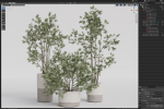 Plants collection 912