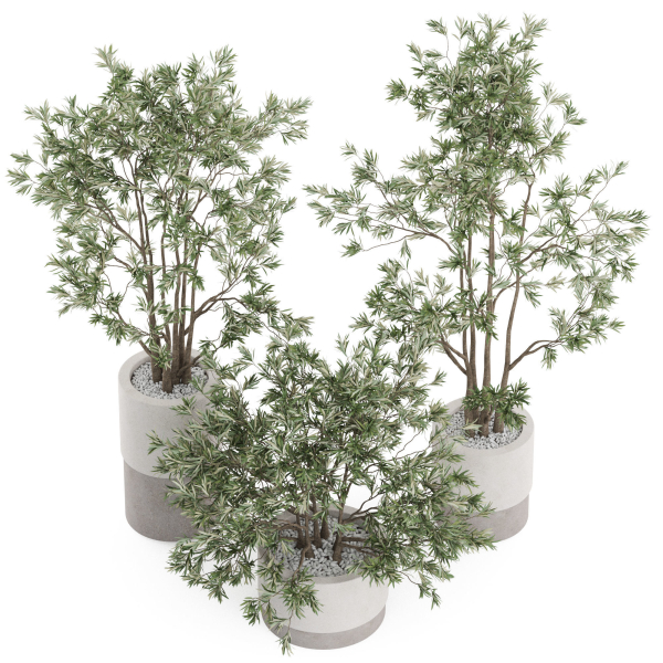 Plants collection 912