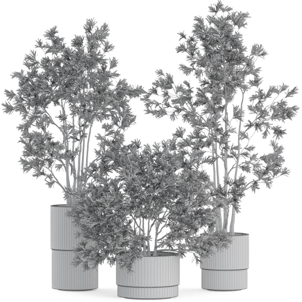 Plants collection 912